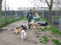 afb_20160430 (12)